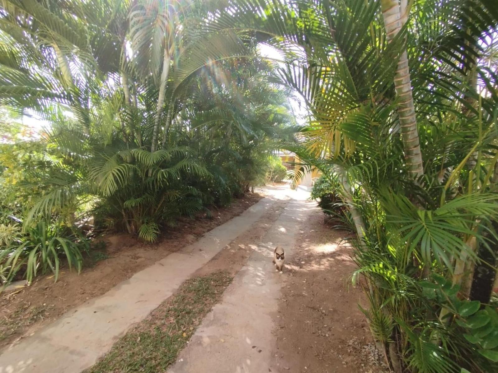 Lumiar Garden Suites E Chales Em Vilas Do Atlantico 劳鲁-迪弗雷塔斯 外观 照片