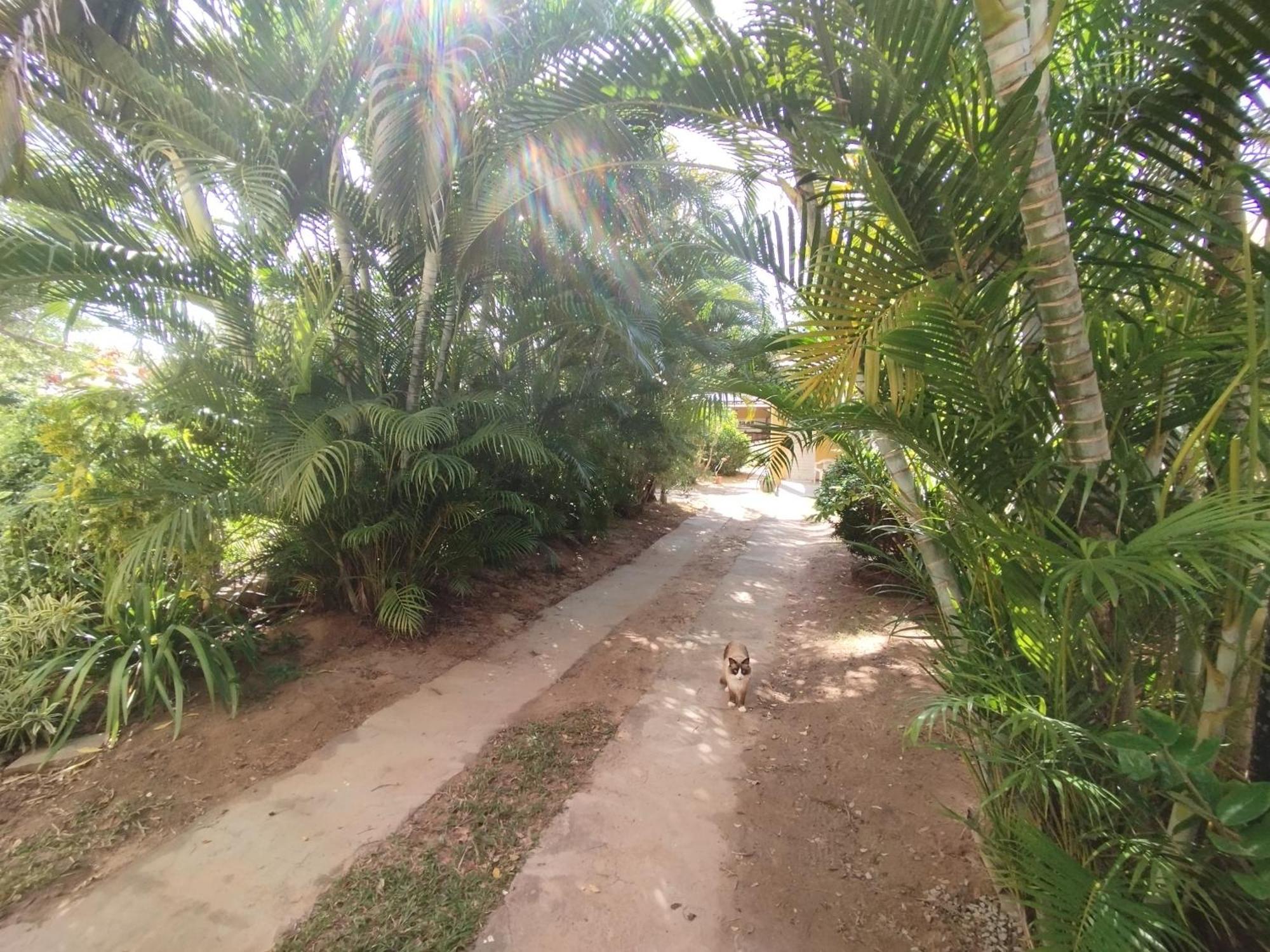 Lumiar Garden Suites E Chales Em Vilas Do Atlantico 劳鲁-迪弗雷塔斯 外观 照片